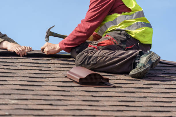 Best Roofing Contractor Near Me  in Poplarville, MS