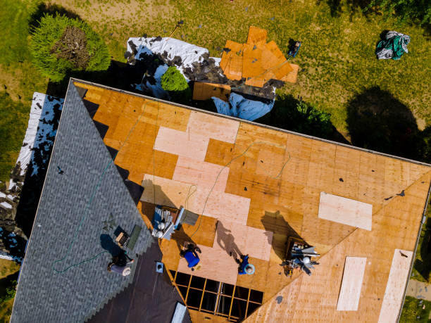Best Storm Damage Roof Repair  in Poplarville, MS