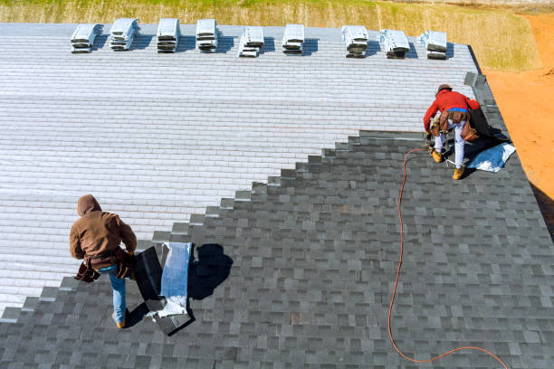 Roof Gutter Cleaning in Poplarville, MS